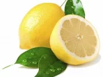 Segudang Manfaat Lemon: Si Kuning Kaya Nutrisi